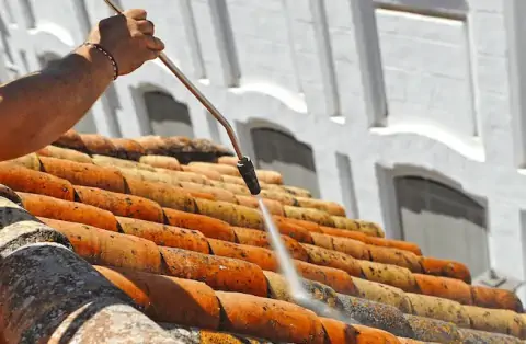 Nettoyage de toitures - Chasse-sur-Rhône